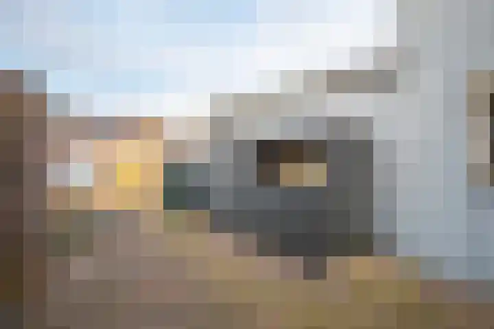Liemersallee 4 Westervoort thumbnail 8