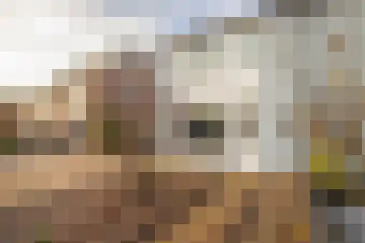 Liemersallee 4 Westervoort thumbnail 9