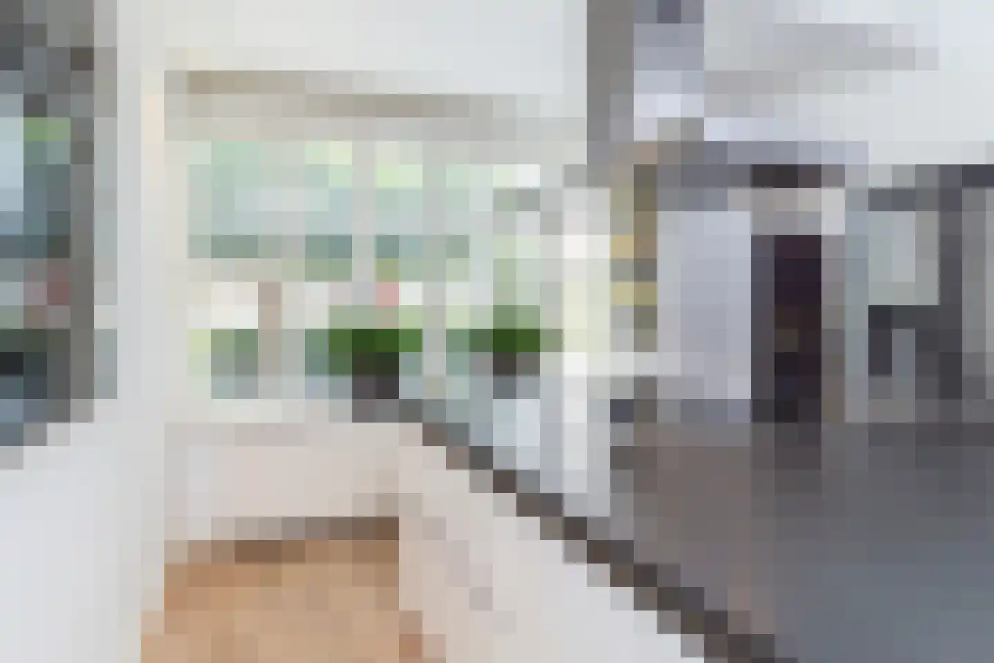 Liemerssingel 12 Den Haag thumbnail 15