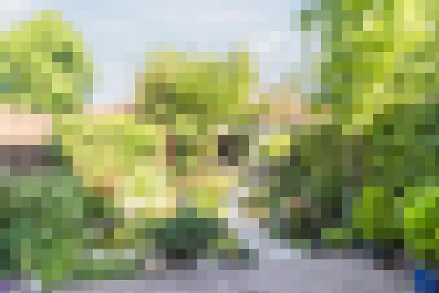 Liemerssingel 36 Den Haag thumbnail 41