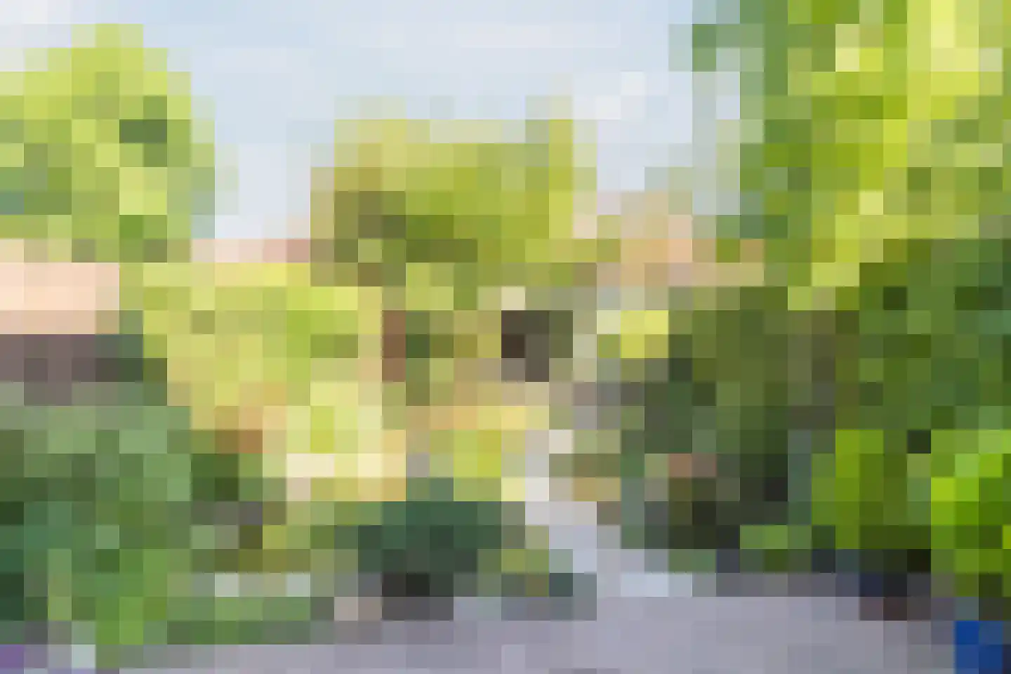 Liemerssingel 36 Den Haag thumbnail 41