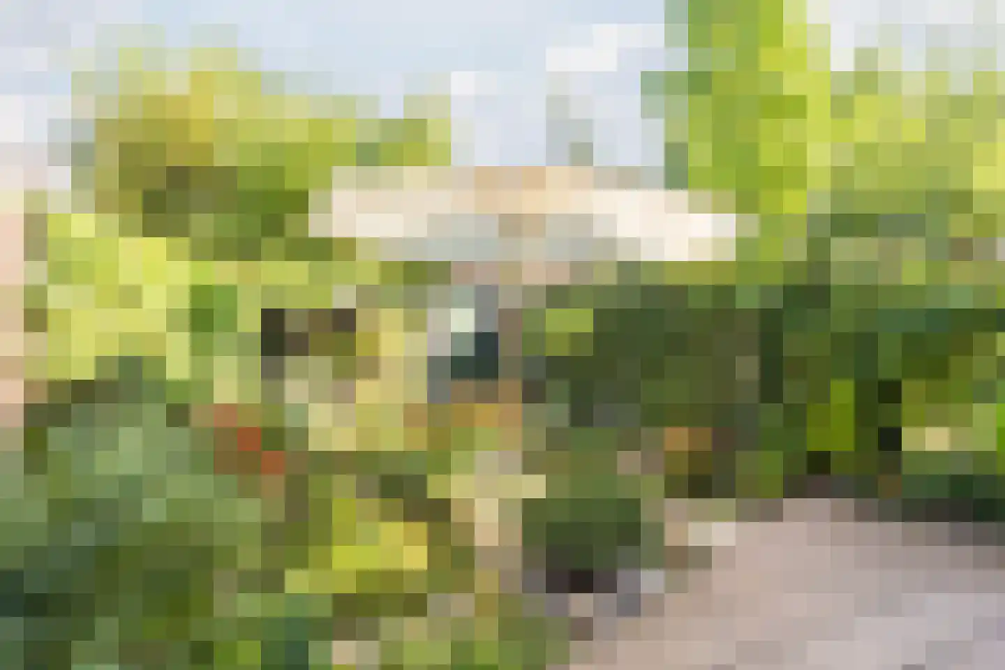 Liemerssingel 36 Den Haag thumbnail 43
