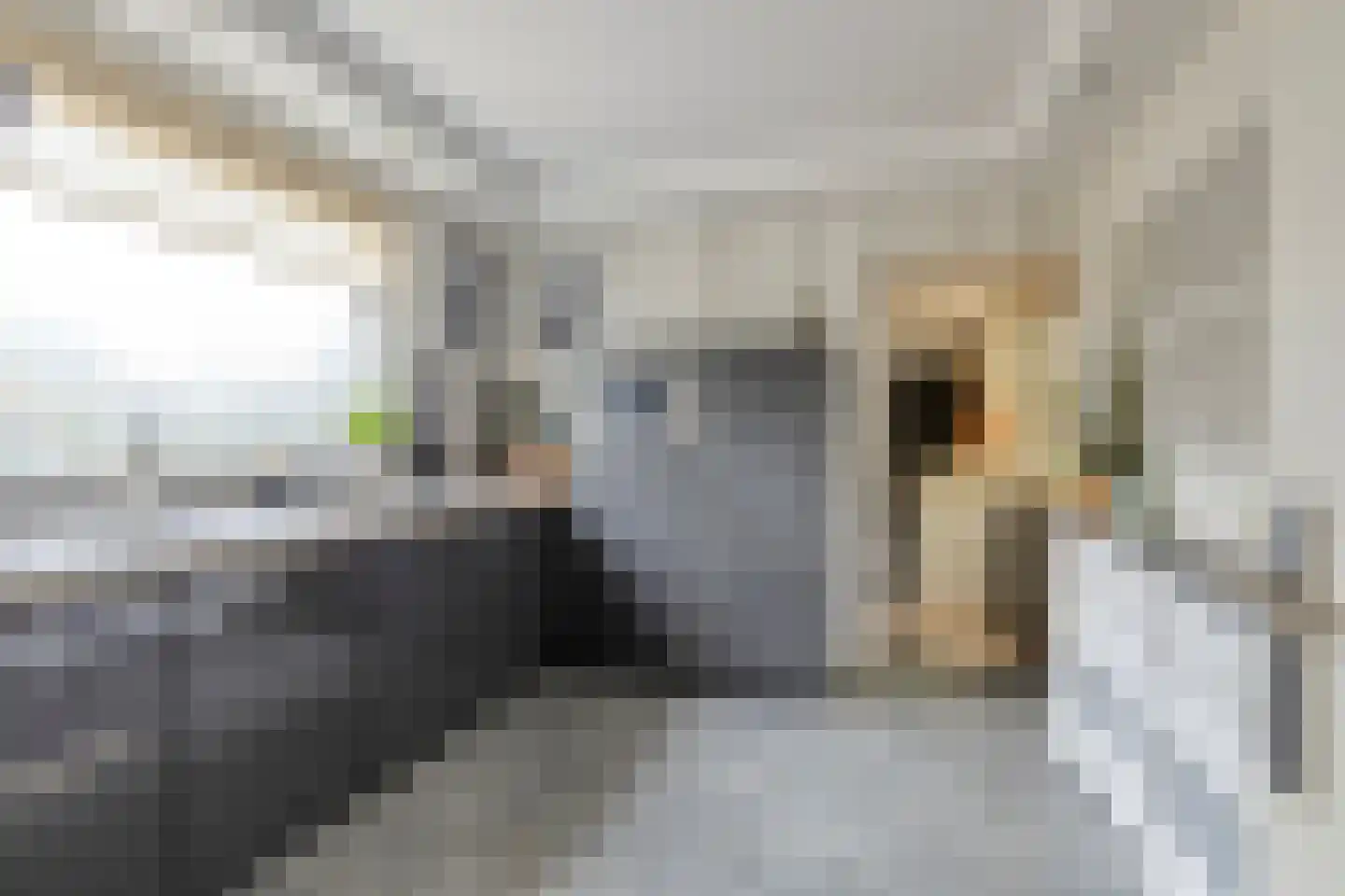 Liemersweg 16 Didam thumbnail 12