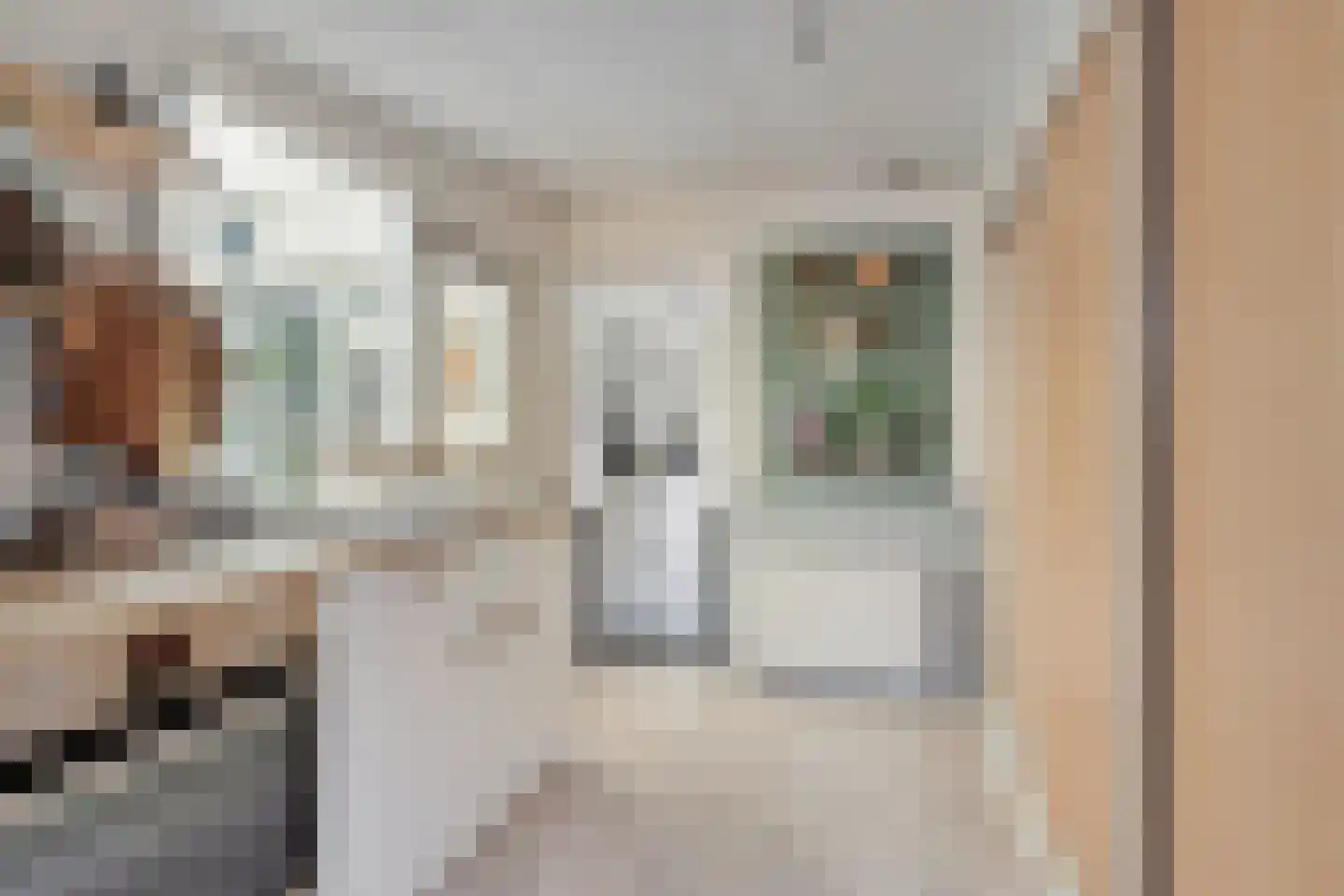 Liemersweg 16 Didam thumbnail 13