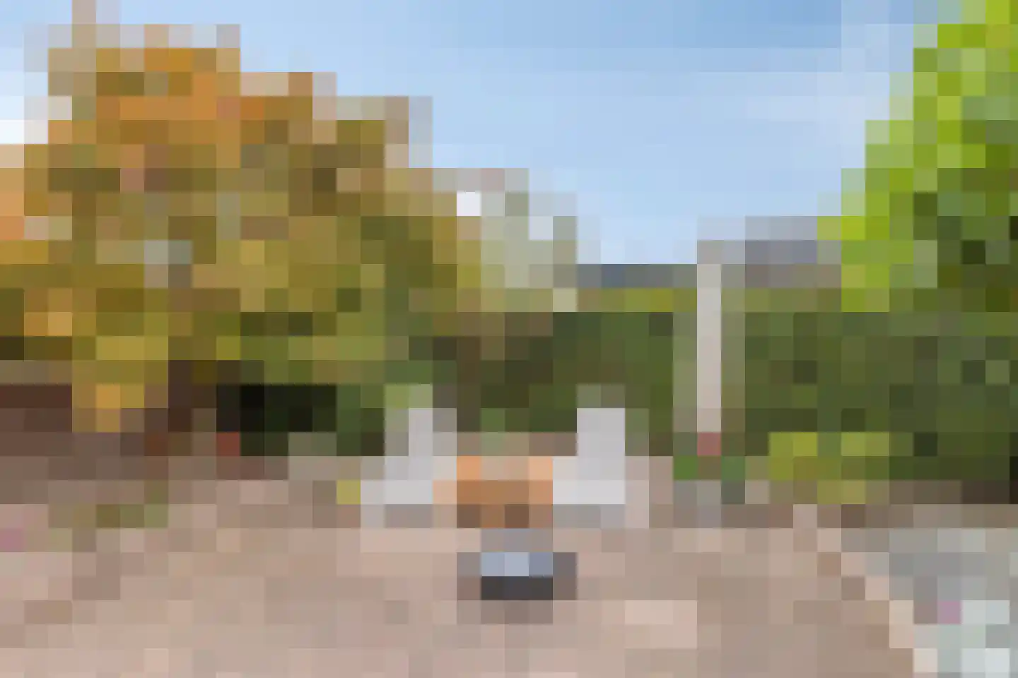 Liemersweg 16 Didam thumbnail 24