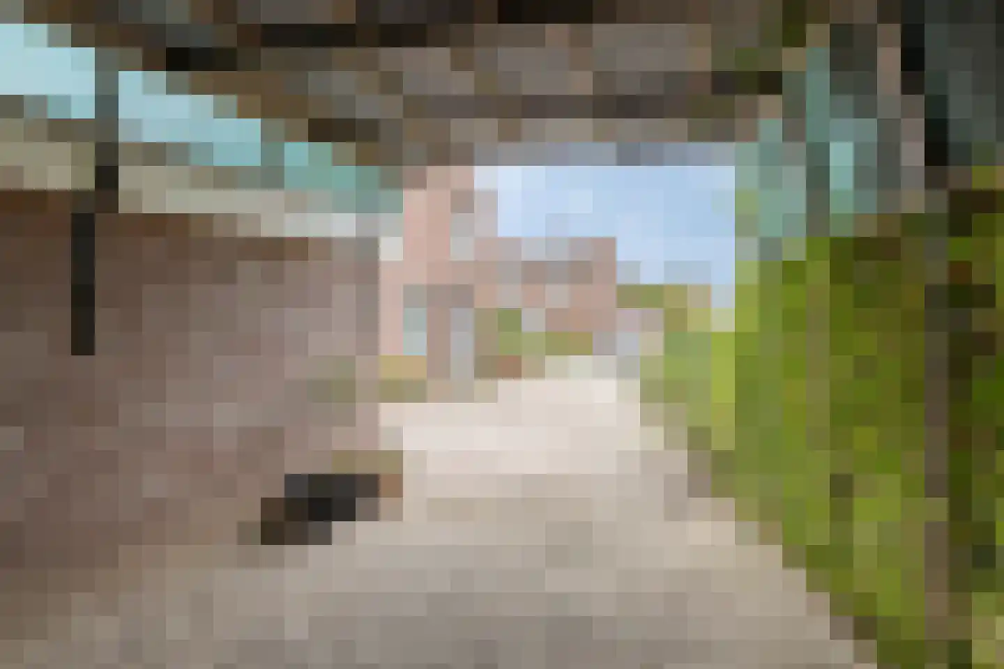 Liemersweg 16 Didam thumbnail 26