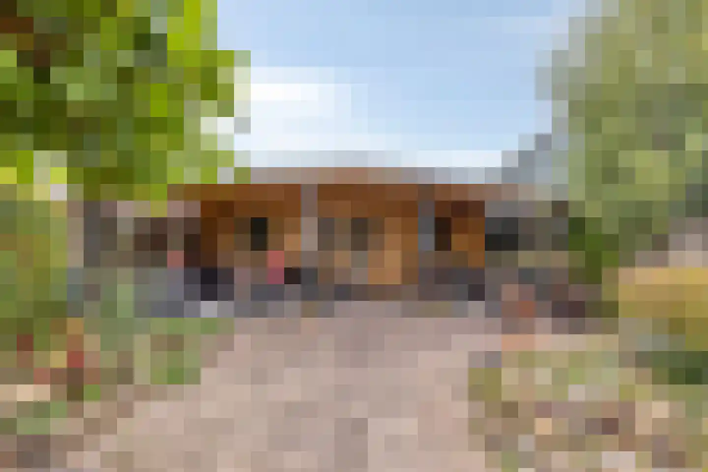 Liemersweg 16 Didam thumbnail 4