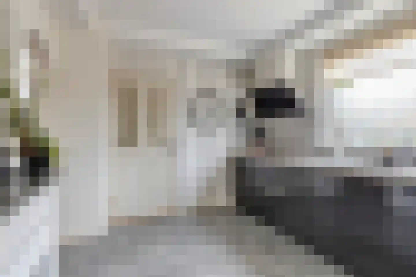 Liemersweg 16 Didam thumbnail 6