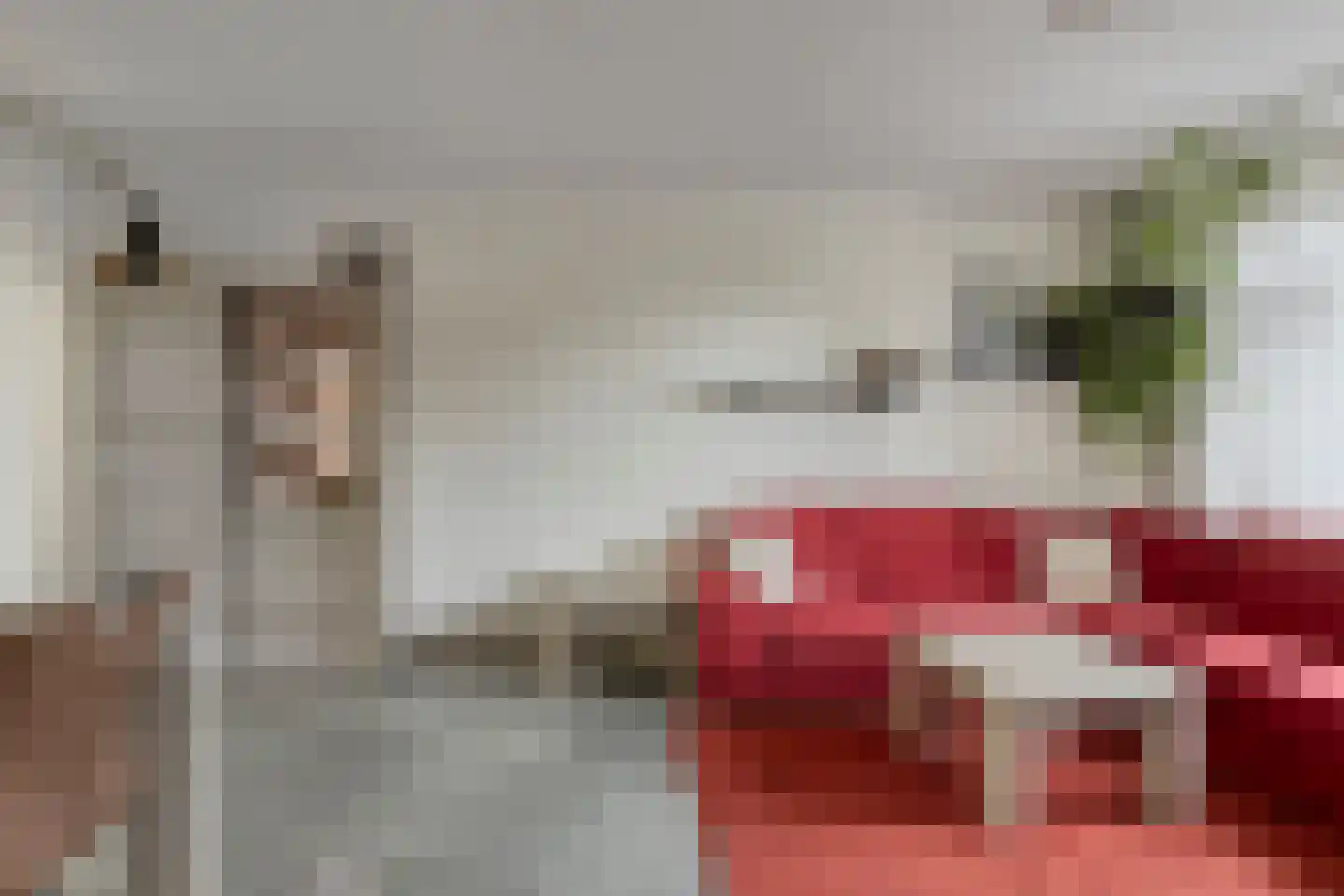 Liemersweg 16 Didam thumbnail 7