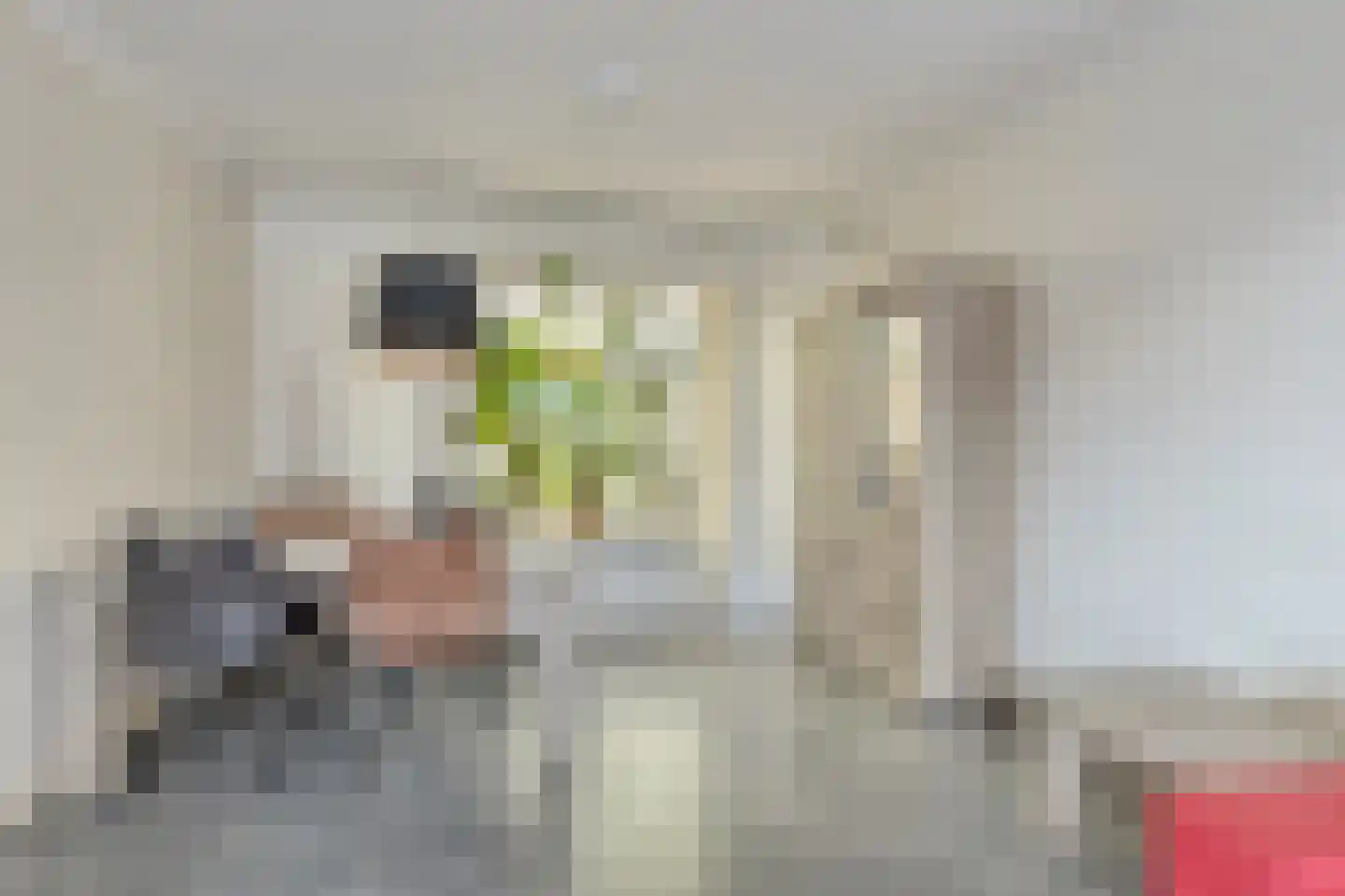 Liemersweg 16 Didam thumbnail 9