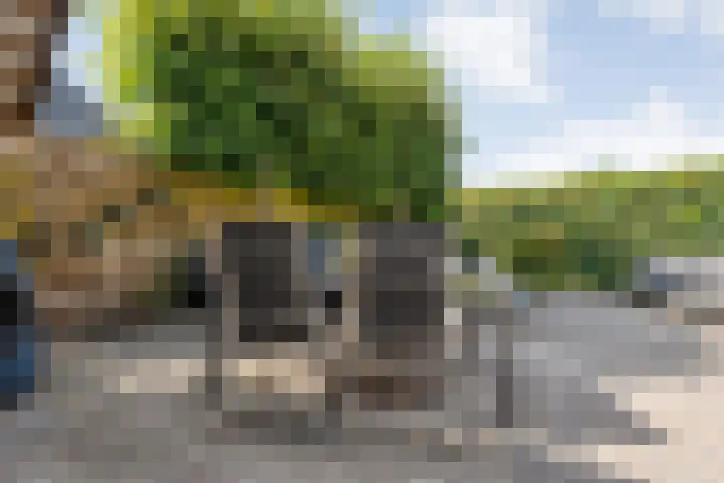 Liemkoele 12 Zuidwolde thumbnail 58
