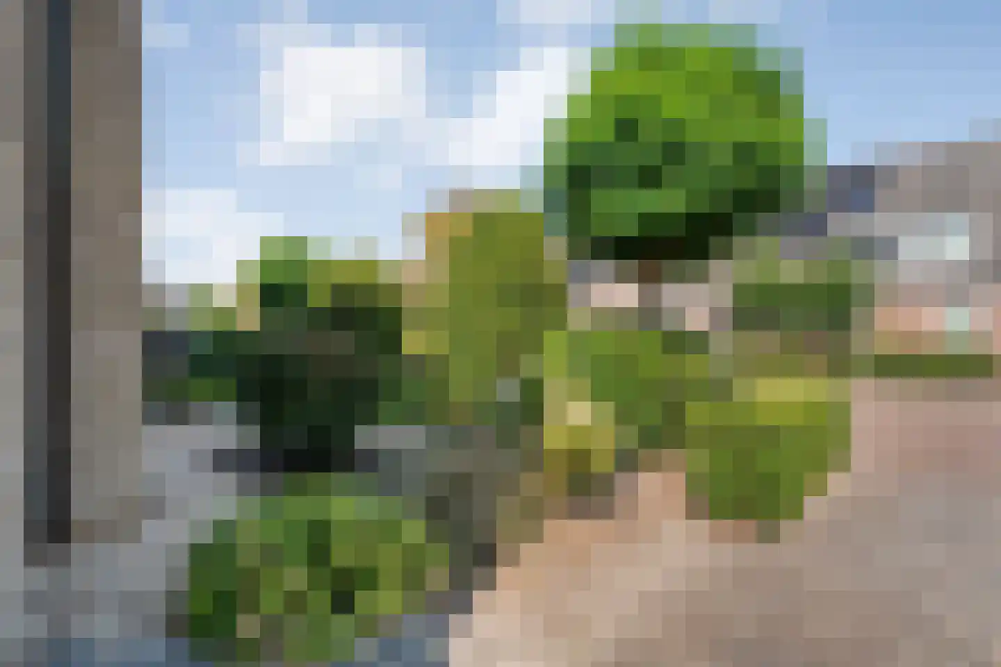 Liemkoele 12 Zuidwolde thumbnail 6