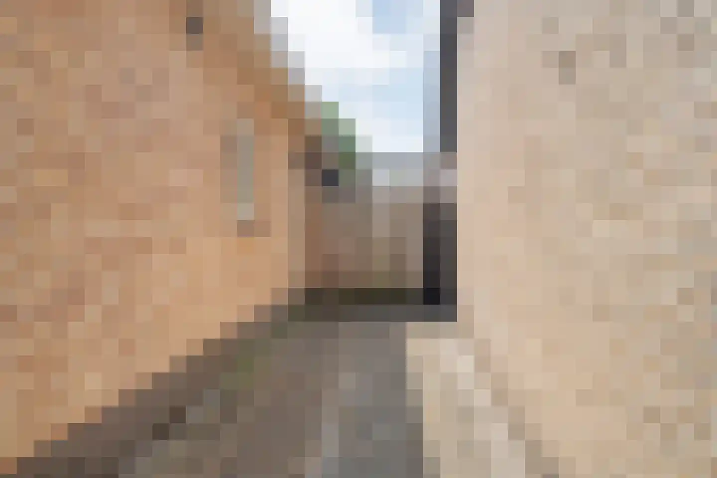 Liemkoele 12 Zuidwolde thumbnail 66