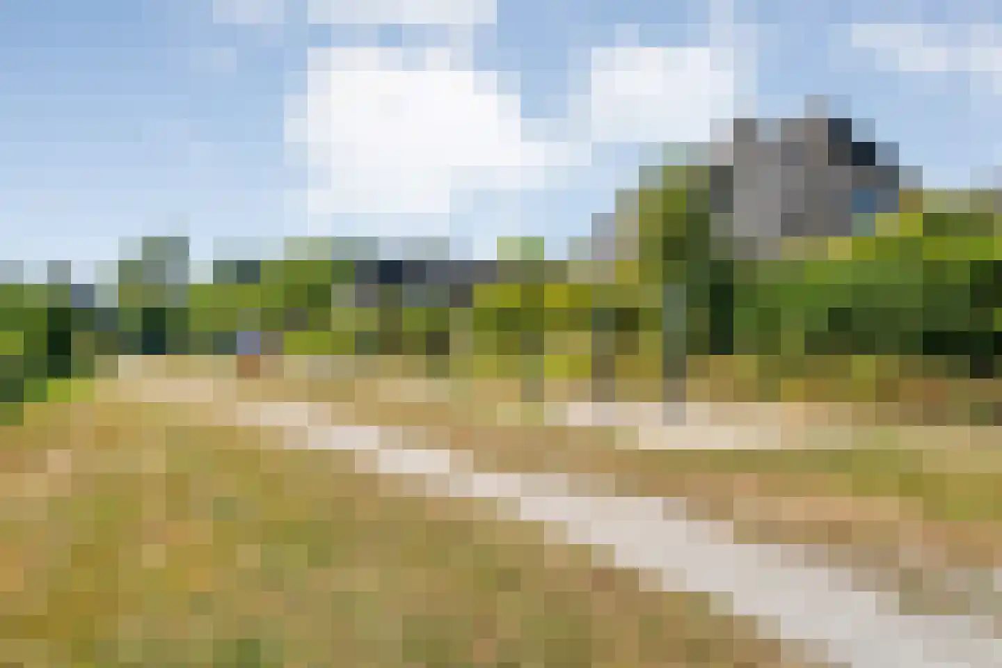Liemkoele 12 Zuidwolde thumbnail 68
