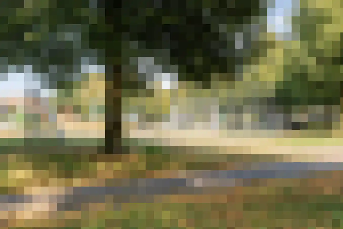 Liemkoele 12 Zuidwolde thumbnail 69