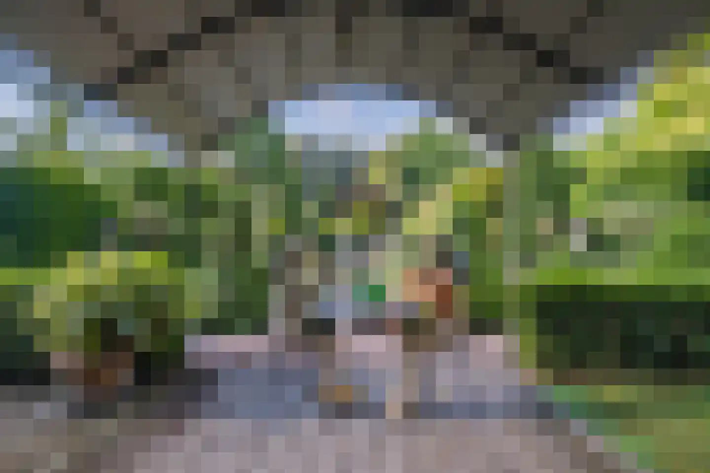 Liempdseweg 9 Sint-Oedenrode thumbnail 61