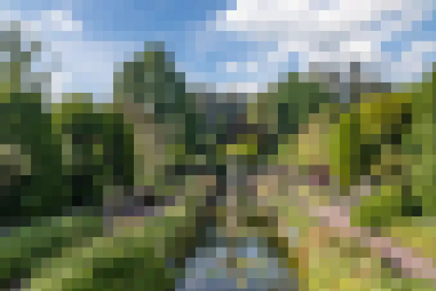 Liempdseweg 9 Sint-Oedenrode thumbnail 62