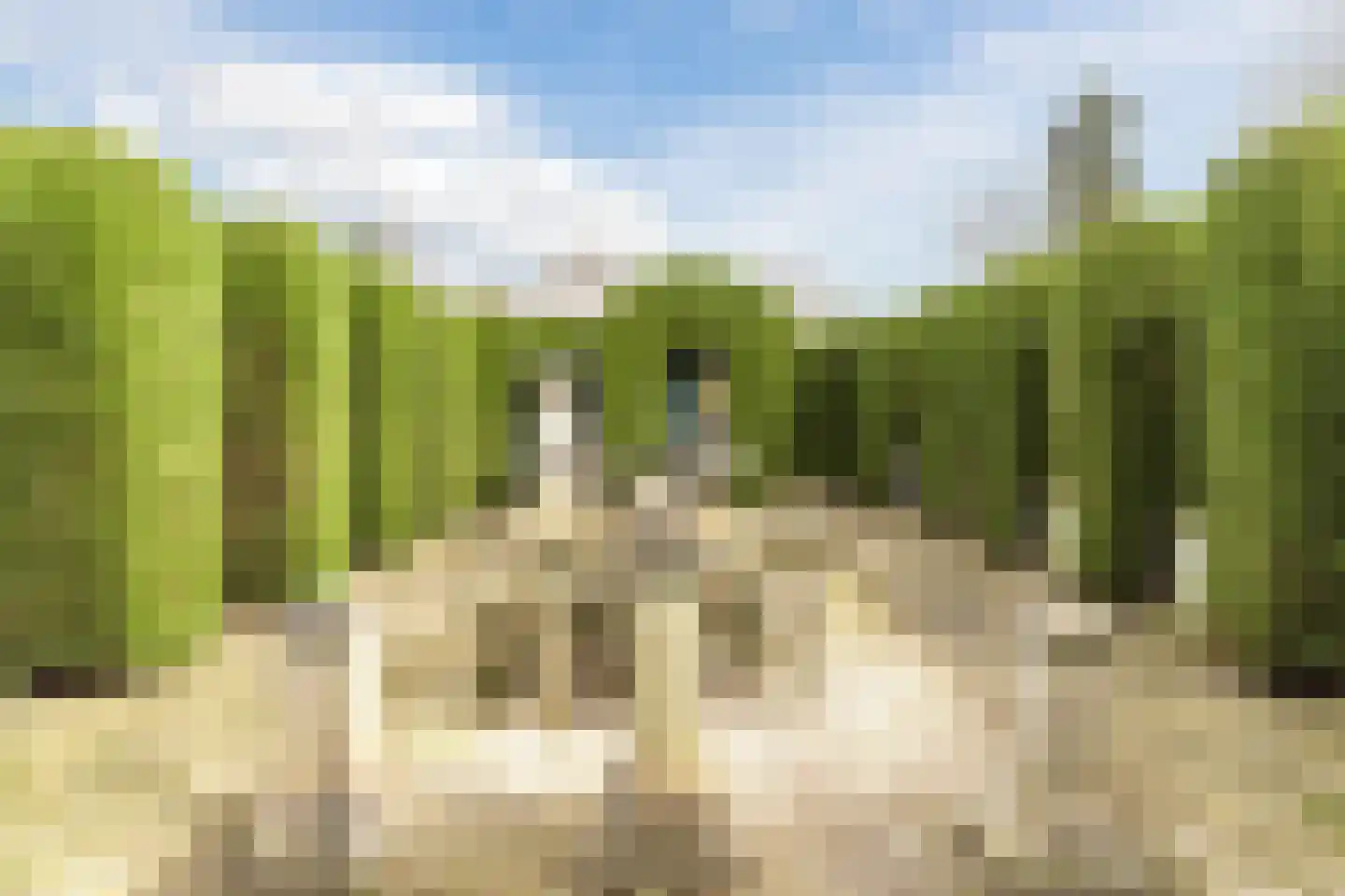 Liempdseweg 9 Sint-Oedenrode thumbnail 68