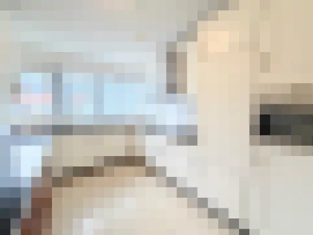 Lien Gisolflaan 1 Amstelveen thumbnail 6