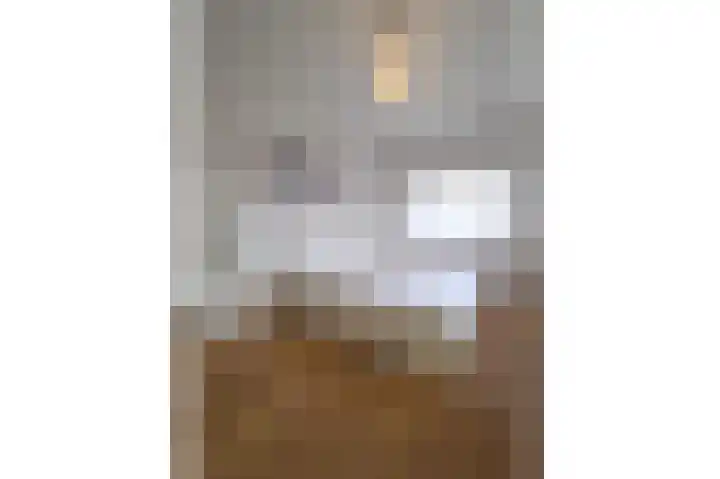 Lien Gisolflaan 23 Amstelveen thumbnail 30
