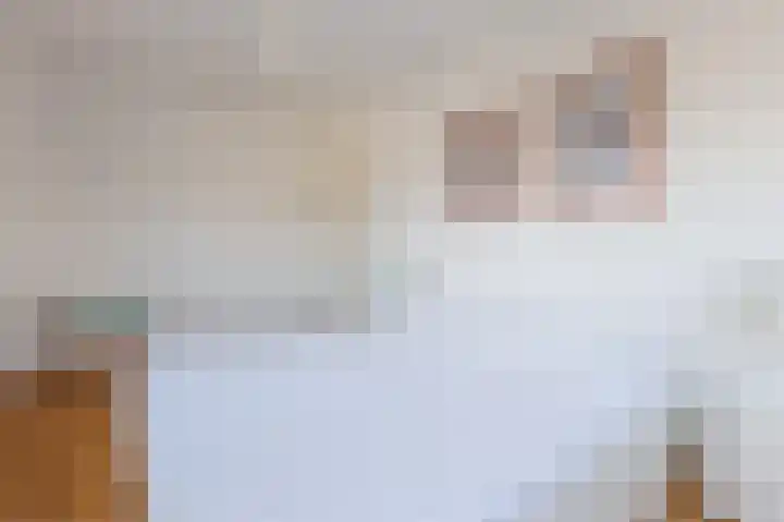 Lien Gisolflaan 23 Amstelveen thumbnail 32