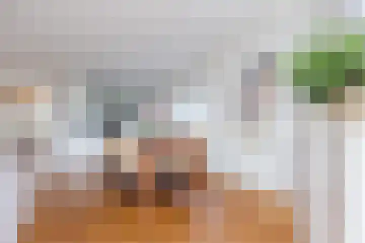 Lien Gisolflaan 23 Amstelveen thumbnail 4