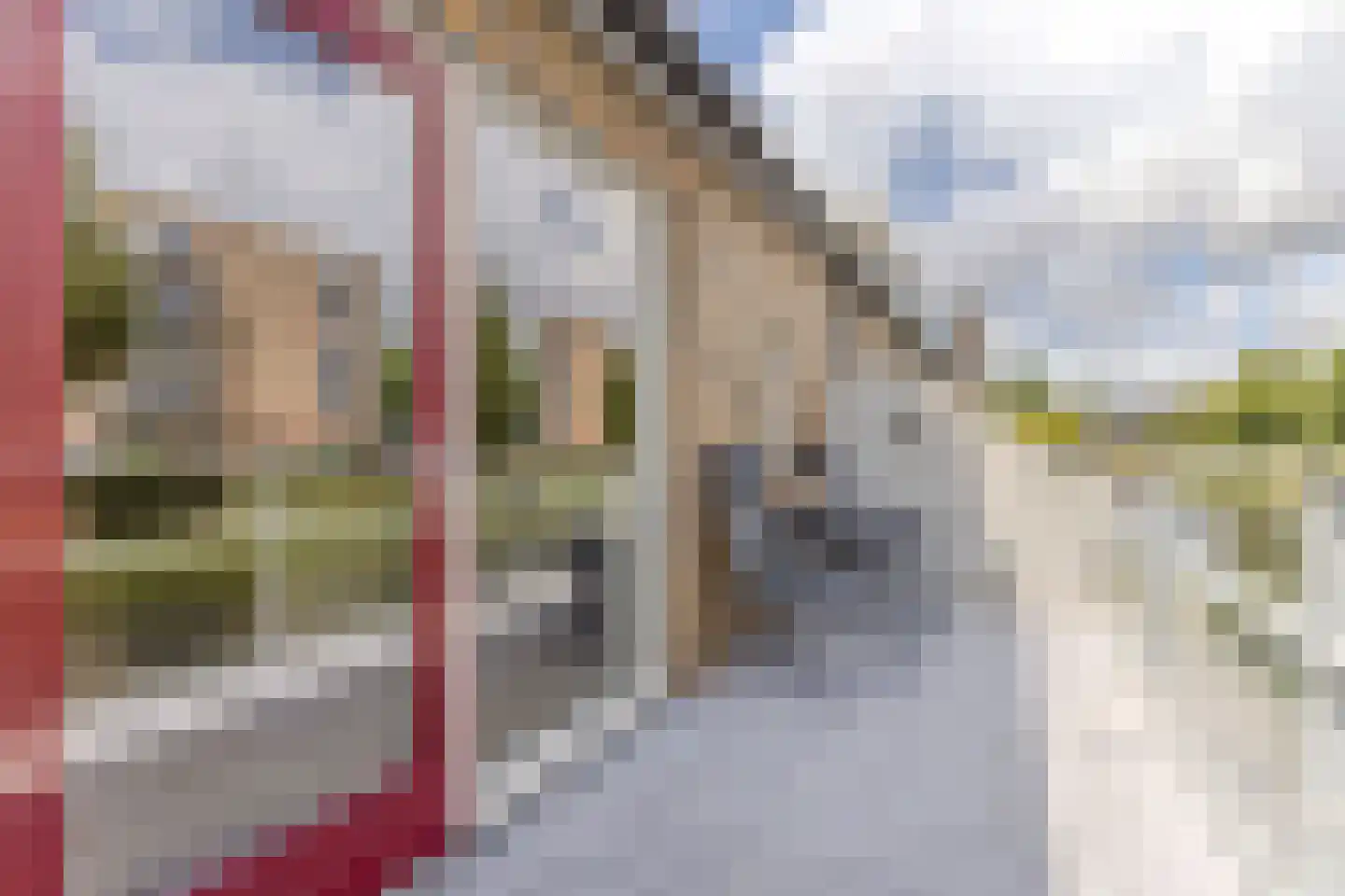 Lien Gisolfland 3 Heerhugowaard thumbnail 13