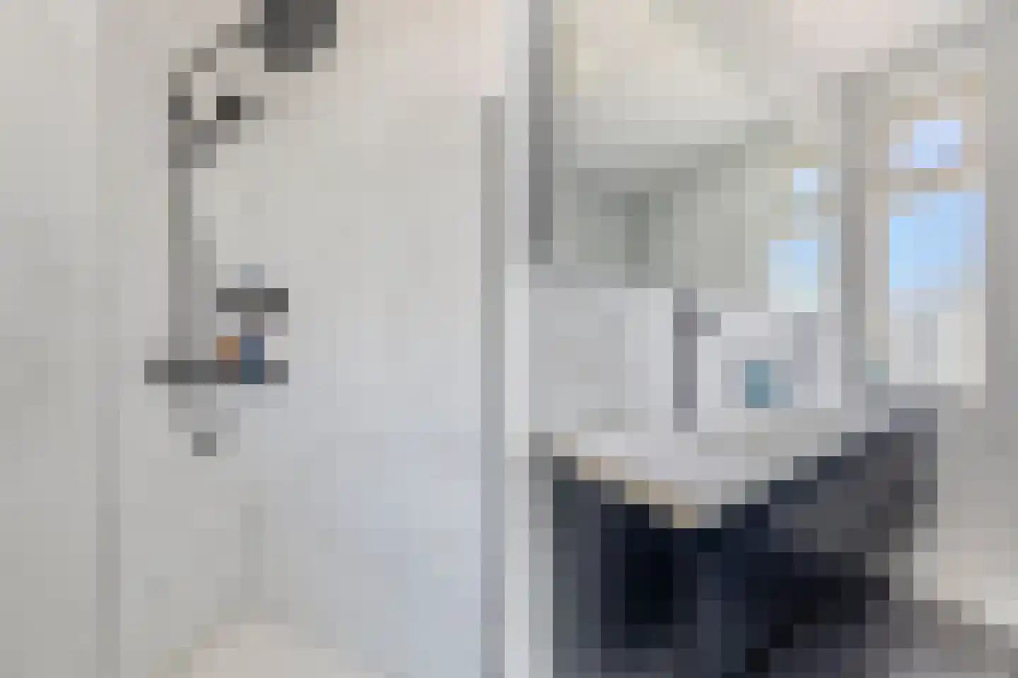 Lien Gisolfland 3 Heerhugowaard thumbnail 32