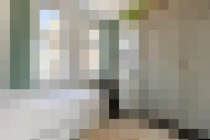 Lien Gisolfstraat 10 Haarlem thumbnail 28