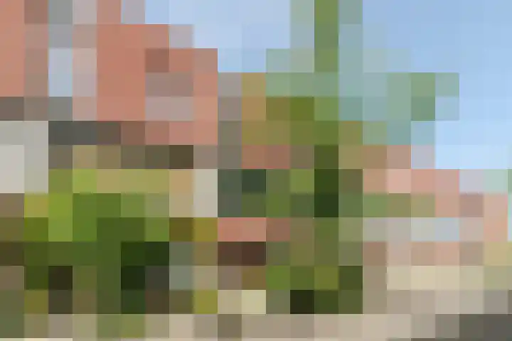 Lien Gisolfstraat 10 Haarlem thumbnail 39