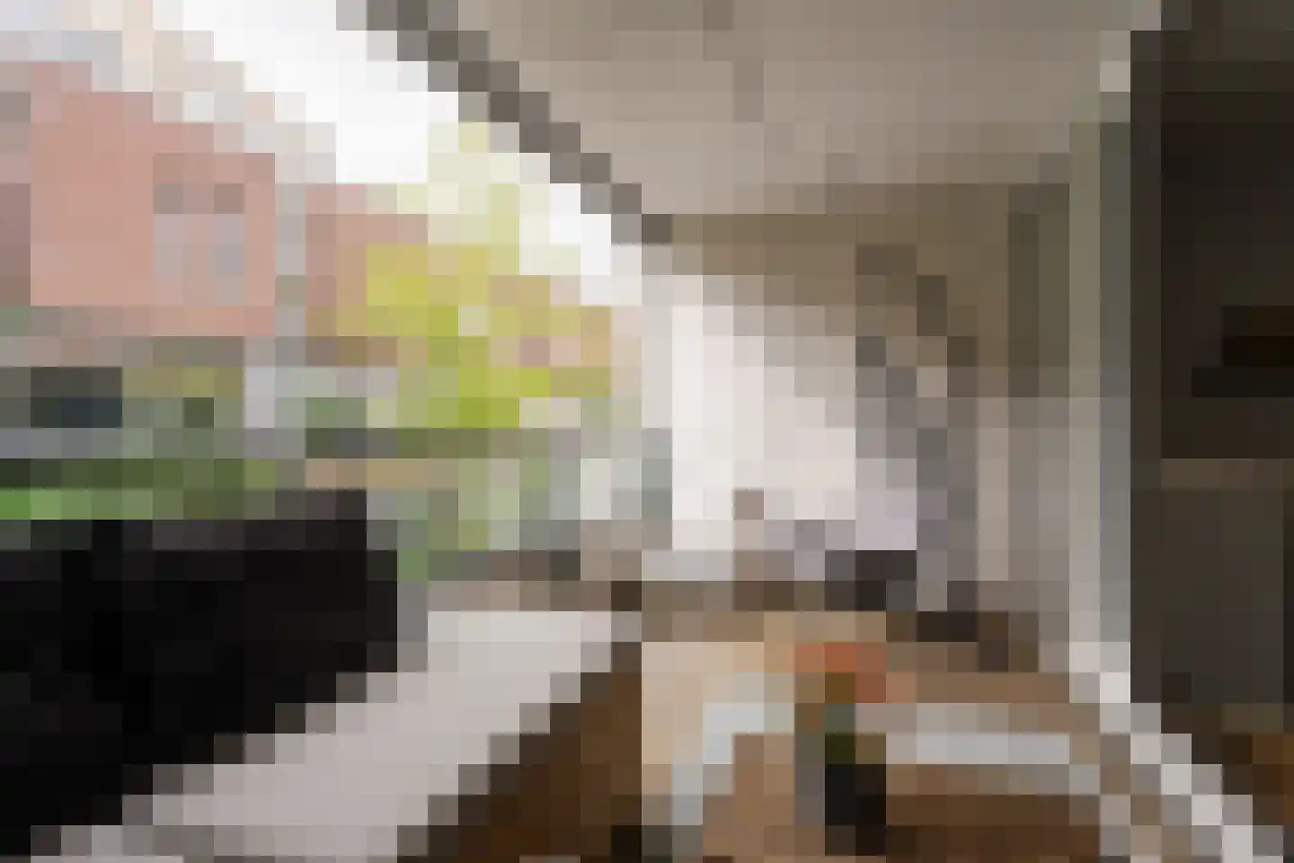 Lien Gisolfstraat 11 Haarlem thumbnail 19