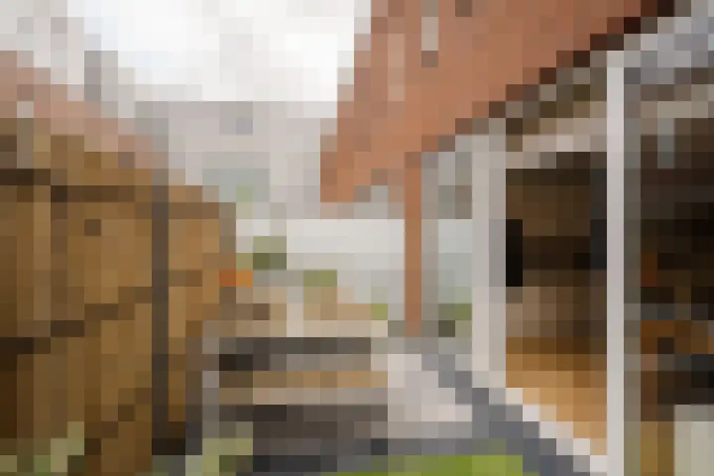 Lien Gisolfstraat 11 Haarlem thumbnail 29