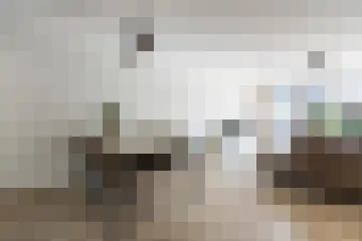 Lien Gisolfstraat 24 Tilburg thumbnail 11