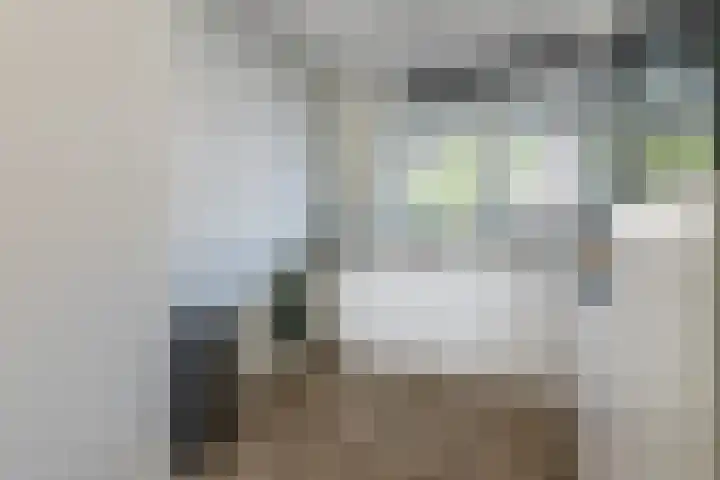 Lien Gisolfstraat 24 Tilburg thumbnail 12