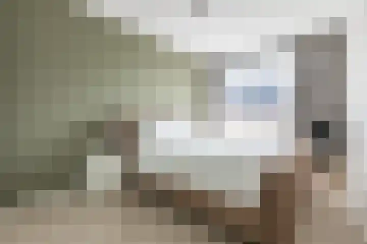 Lien Gisolfstraat 24 Tilburg thumbnail 16