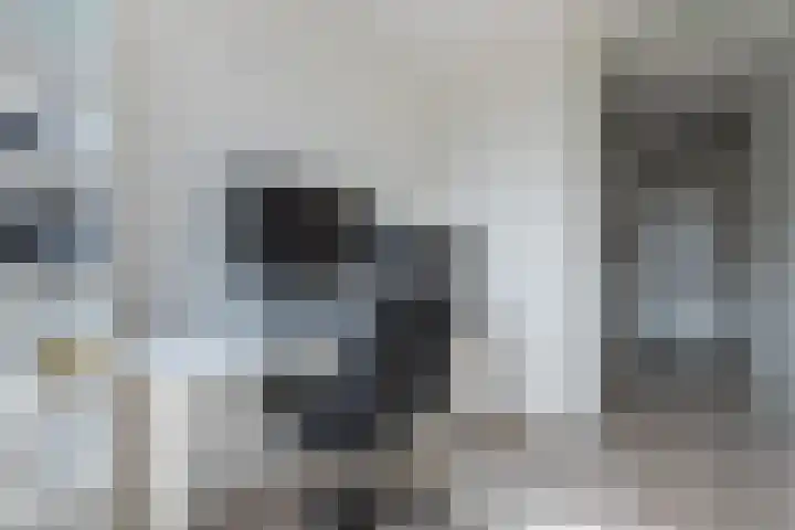 Lien Gisolfstraat 24 Tilburg thumbnail 20