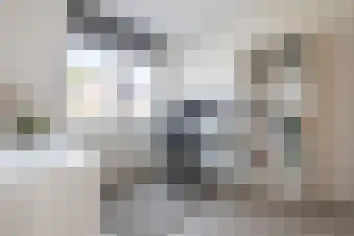 Lien Gisolfstraat 24 Tilburg thumbnail 21