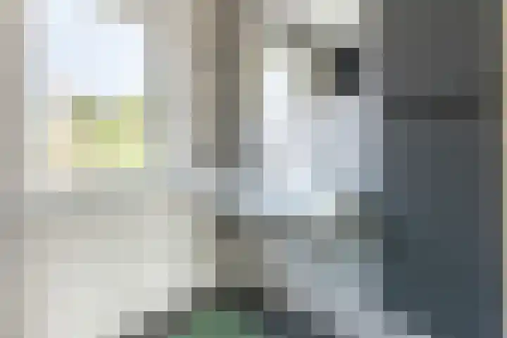 Lien Gisolfstraat 24 Tilburg thumbnail 26