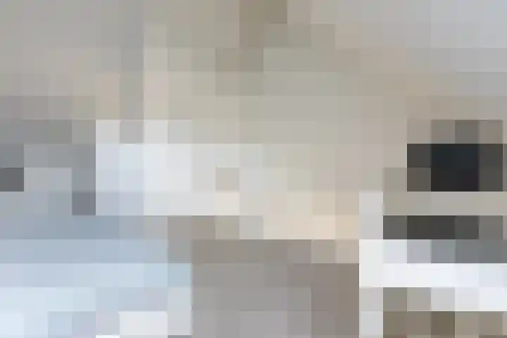 Lien Gisolfstraat 24 Tilburg thumbnail 29