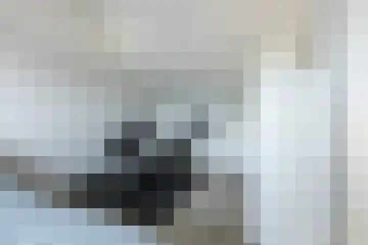 Lien Gisolfstraat 24 Tilburg thumbnail 31