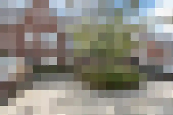 Lien Gisolfstraat 24 Tilburg thumbnail 38