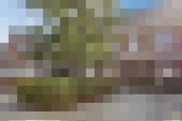 Lien Gisolfstraat 24 Tilburg thumbnail 39