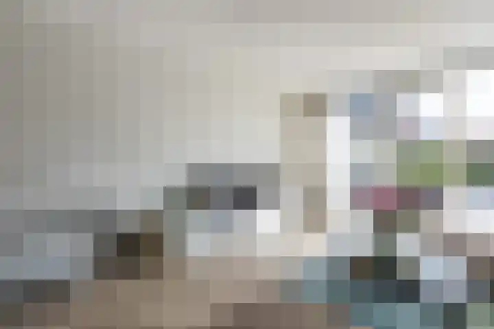 Lien Gisolfstraat 24 Tilburg thumbnail 4