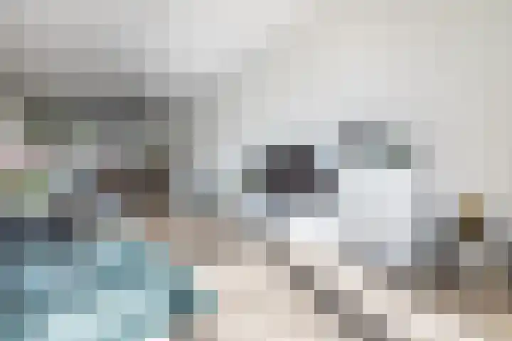 Lien Gisolfstraat 24 Tilburg thumbnail 6