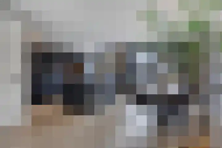 Lien Gisolfstraat 35 Tilburg thumbnail 10