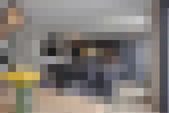 Lien Gisolfstraat 35 Tilburg thumbnail 12