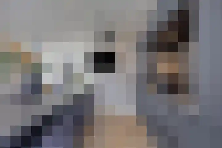 Lien Gisolfstraat 35 Tilburg thumbnail 13
