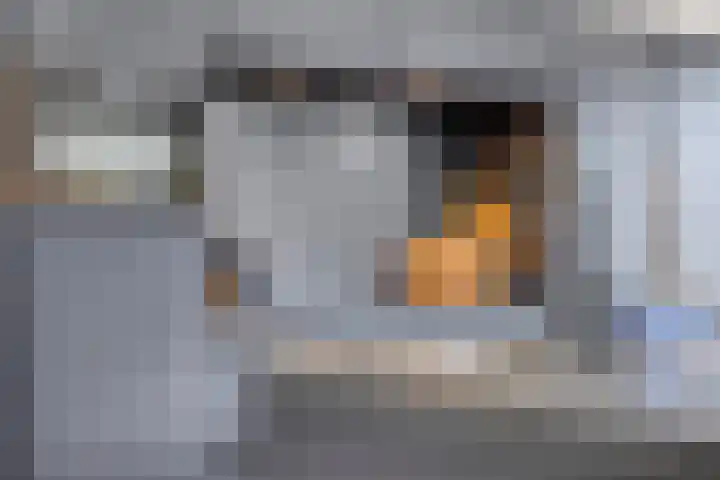 Lien Gisolfstraat 35 Tilburg thumbnail 18