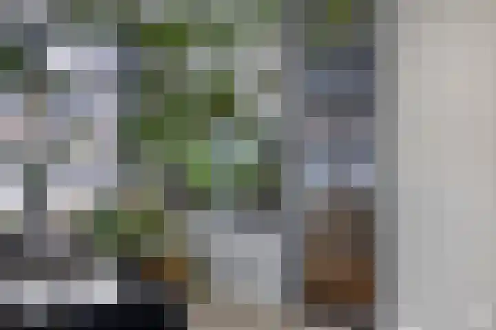 Lien Gisolfstraat 35 Tilburg thumbnail 19