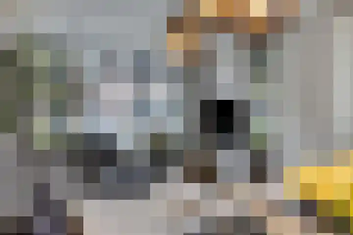 Lien Gisolfstraat 35 Tilburg thumbnail 21